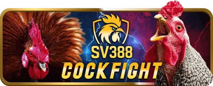 Hướng dẫn cá cược thể thao BMWbet Win